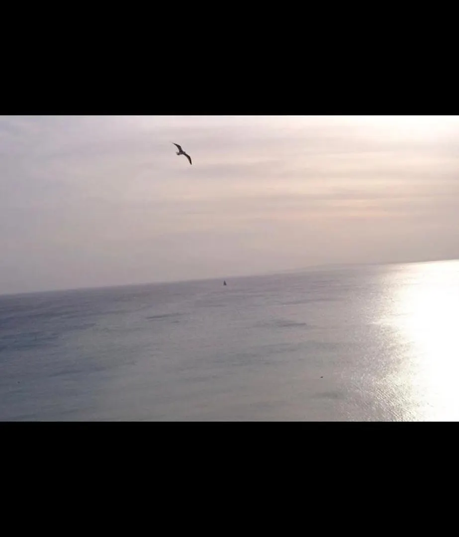 아파트 Studio In Front Of The Sea 팔마데마요르카